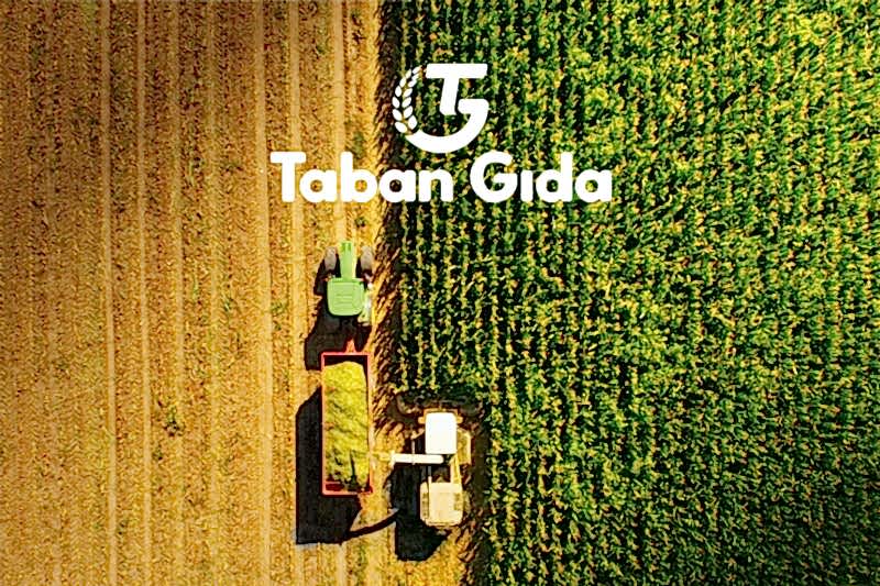Taban Gıda